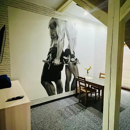 Zacisze Vip Apartman *